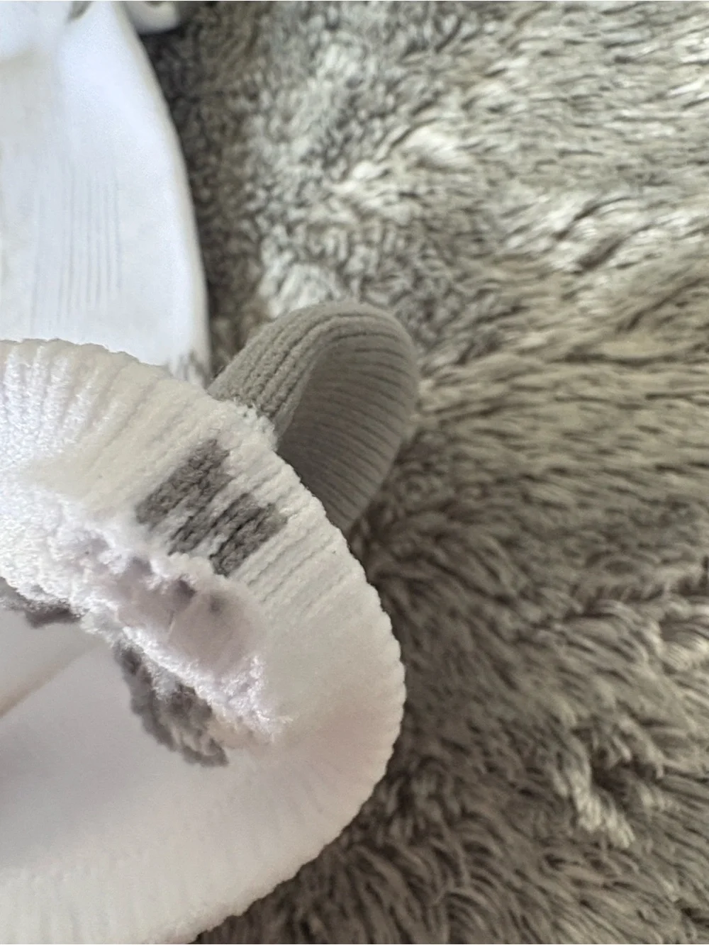 Figs Socks
